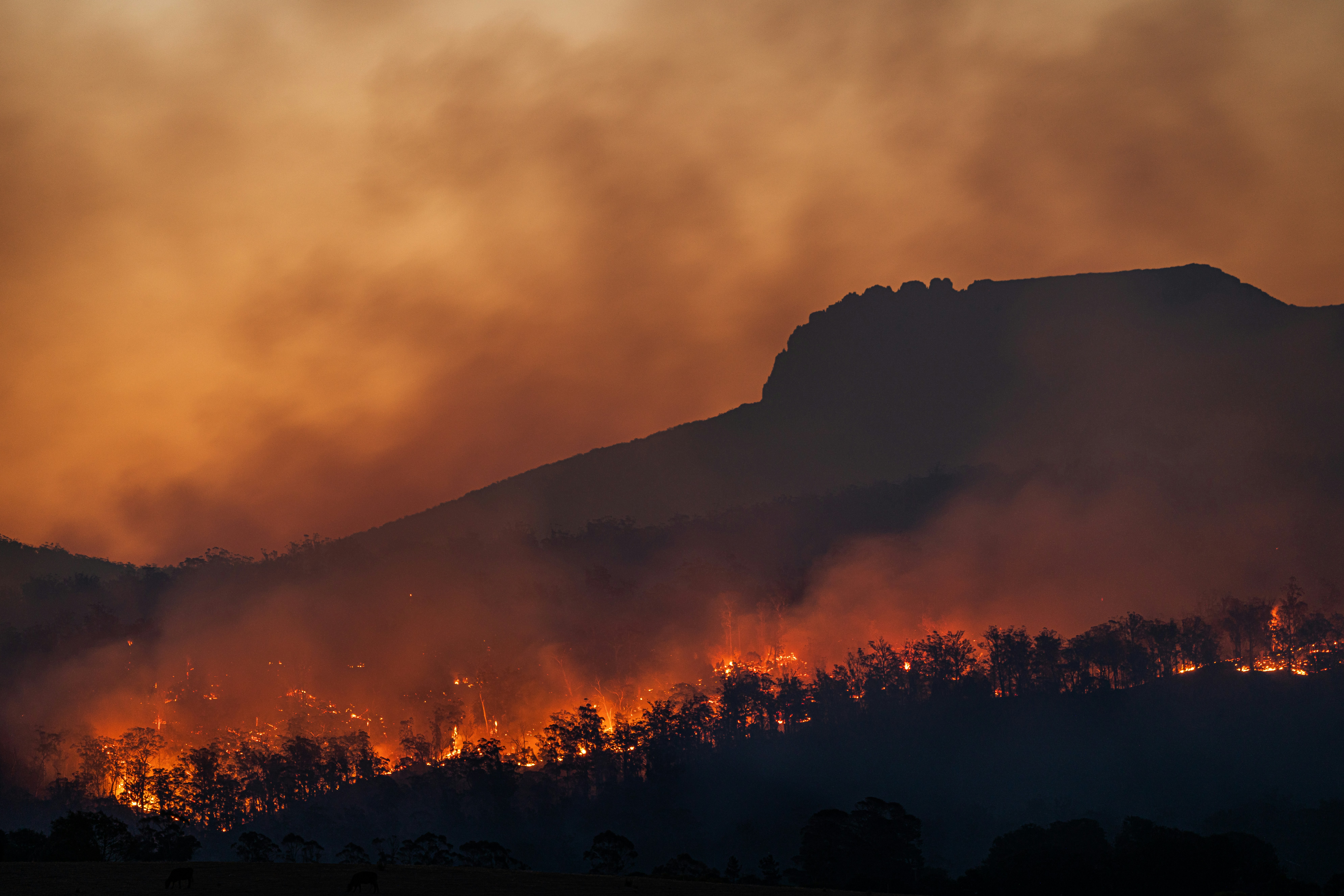 Wildfire burns in the foreground against a smoky, orange sky with a hill in the background.